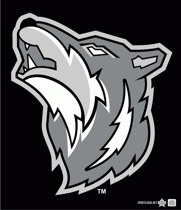 Sudbury Wolves 2010-pres jersey logo iron on transfers for T-shirts